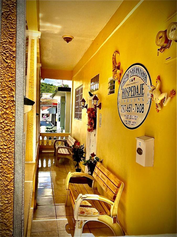 Great Savannah Guesthouse Sabana Grande Luaran gambar